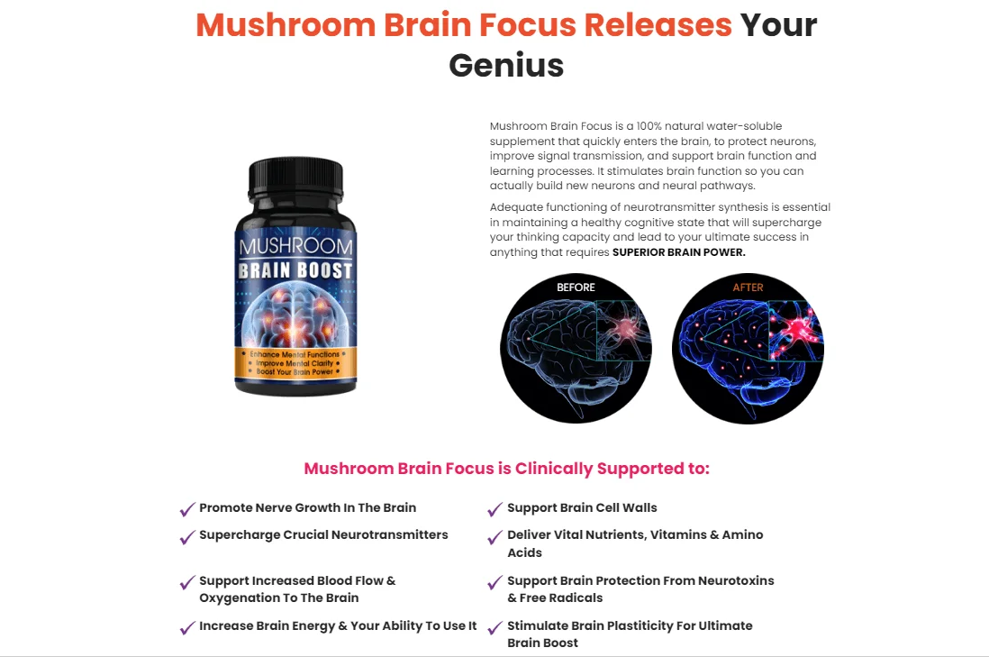 Mushroom Focus Brain