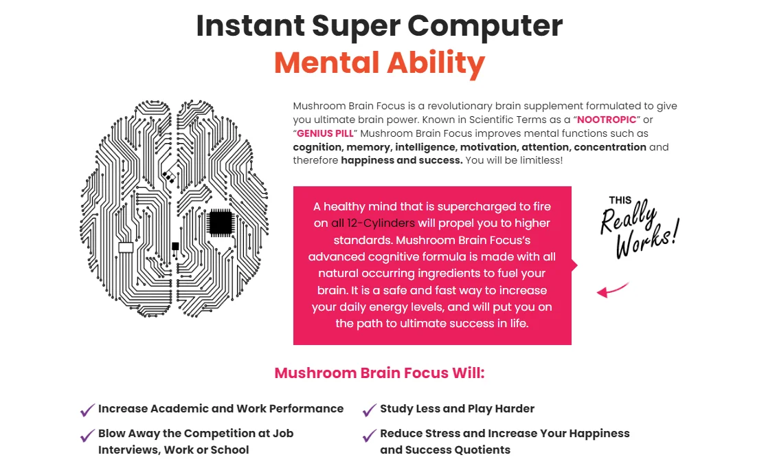 Mushroom Focus Brain