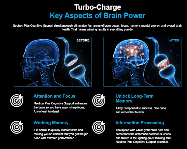 Neutron Plus Cognitive Support