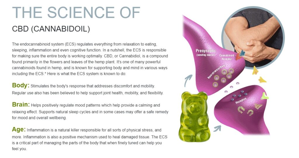 AJ Squared CBD Gummies