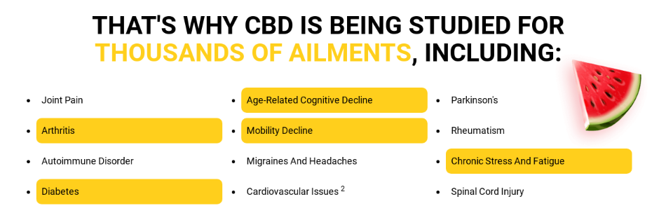 Erthand CBD Cube Gummies 